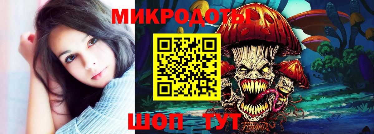 Дальнегорск  Псилоцибиновые грибы Psilocybe  Вход с VPN 